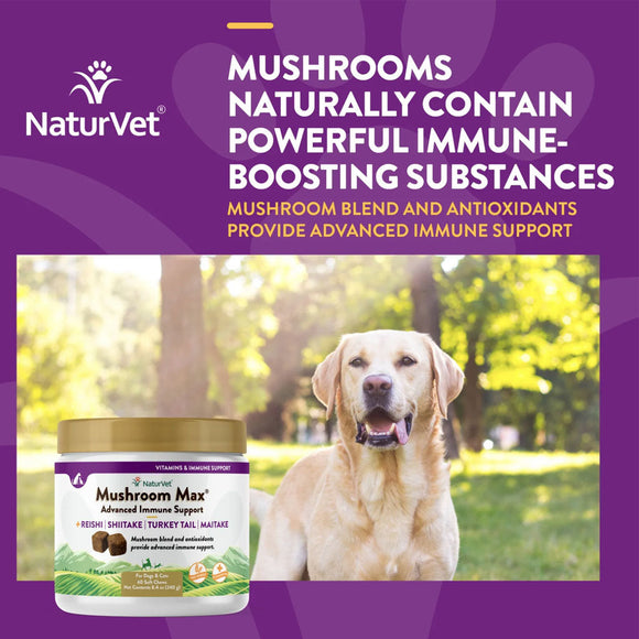 NaturVet Mushroom Max Advanced Immune Support Soft Chews