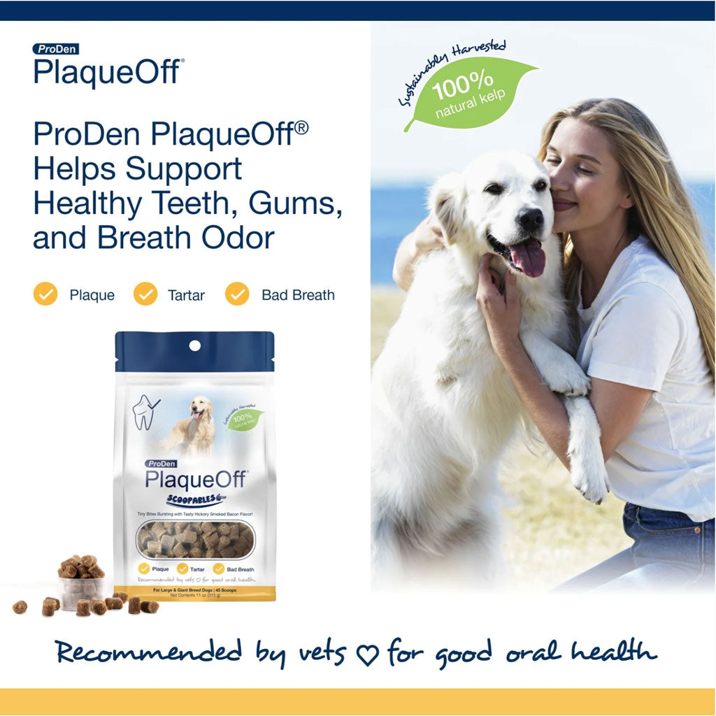 NaturVet ProDen PlaqueOff Dental Dog Treats for Large Breeds