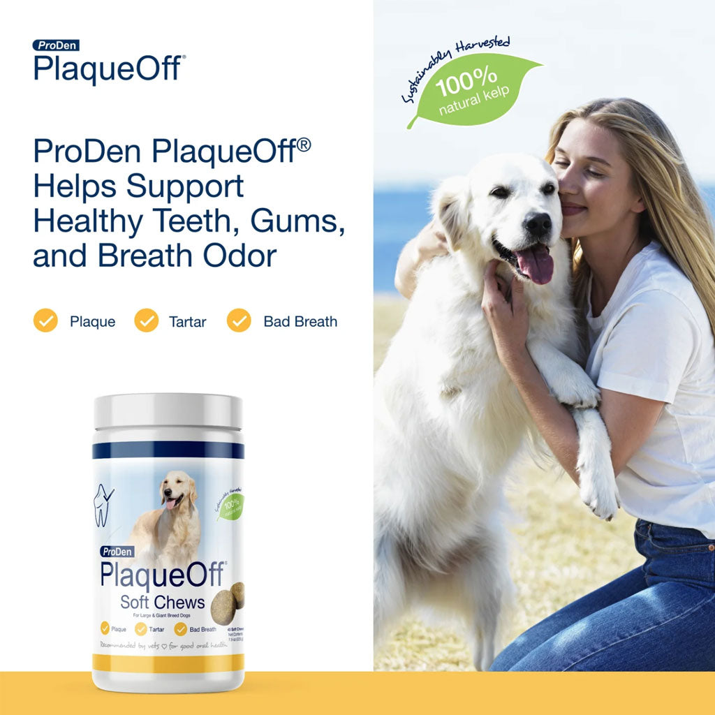 Buy Proden PlaqueOff Chews for Giant Breed Dogs - NaturVet