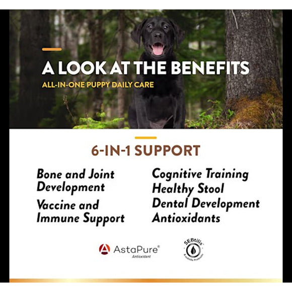 NaturVet Puppy Daily Care Multi-Benefit 6-in-1 Support For Dogs - 60 Soft Chews