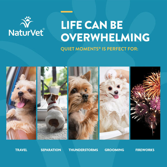 NaturVet Quiet Moments Calming Aid Plus Melatonin Soft Chews for Dogs