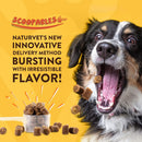 NaturVet Scoopables Omega-Gold Essential Fatty Acids Plus Anchovy Oil & Salmon Protein for Cats & Dogs