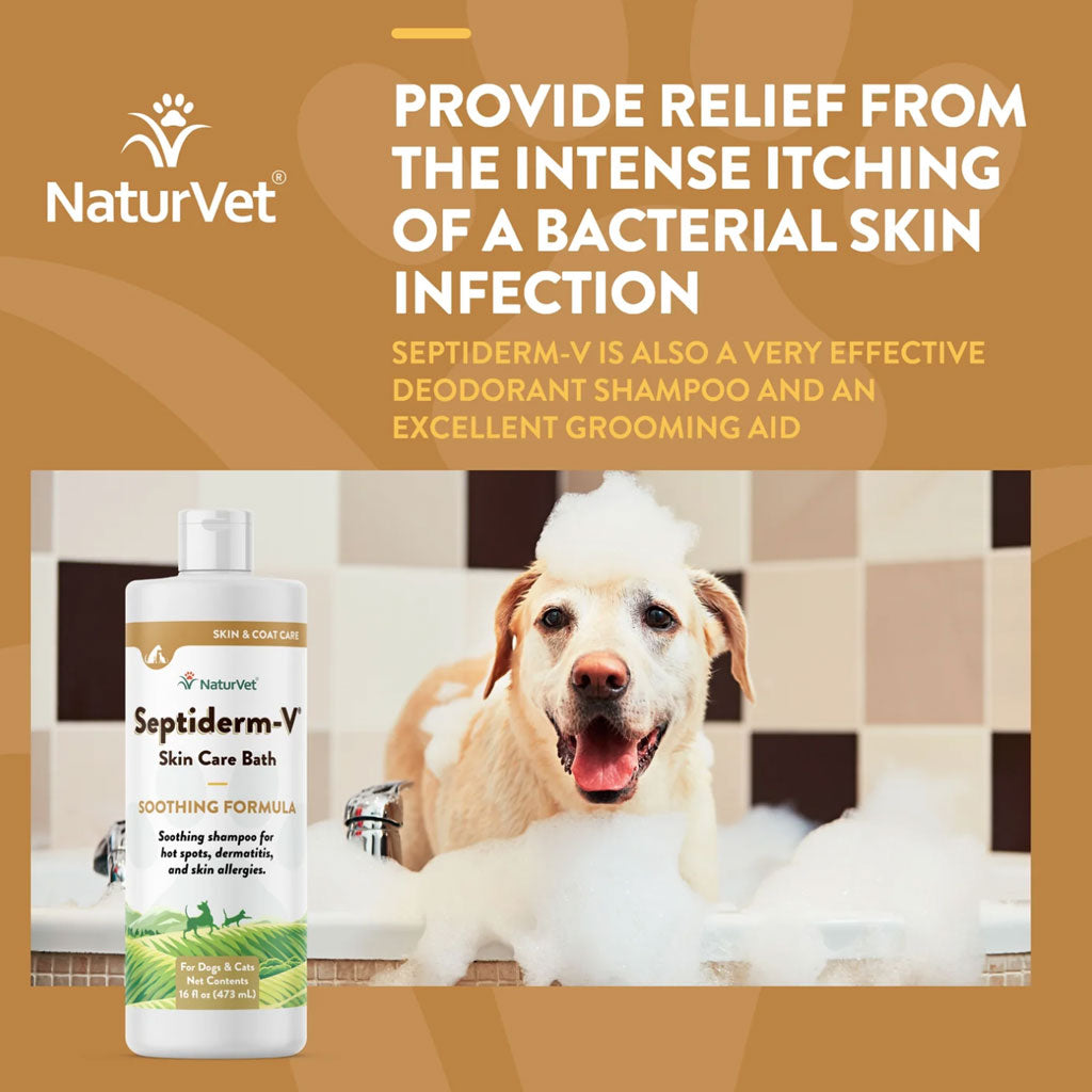 Soothing Skin Care Bath: NaturVet Septiderm-V for Pets