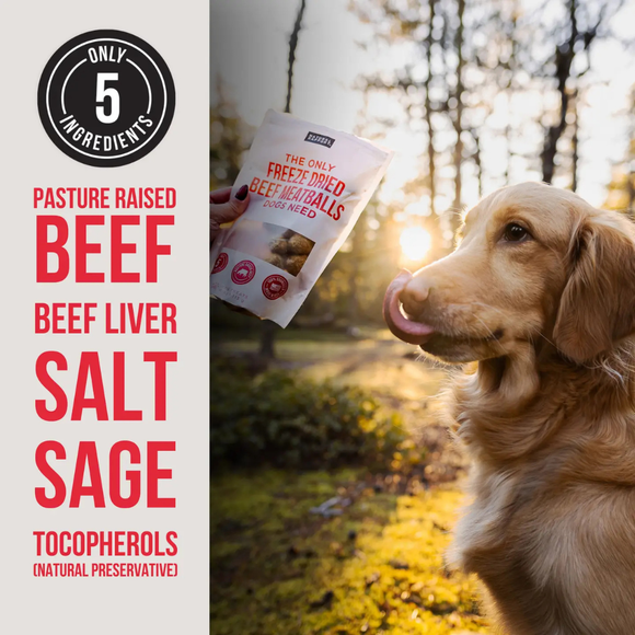 Nautral Rapport The Only Freeze Dried Beef Meatballs Dogs Need - Dog Treats 4