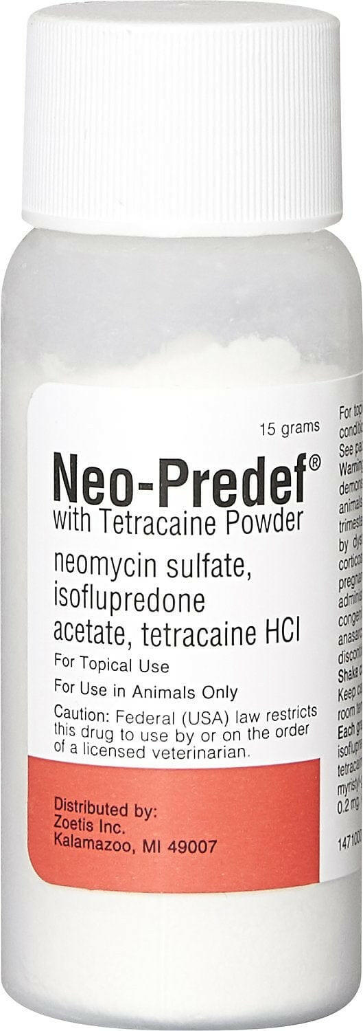 neo predef with tetracaine powder