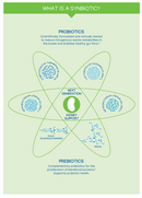 synbiotic supplements contain both pre and probiotics