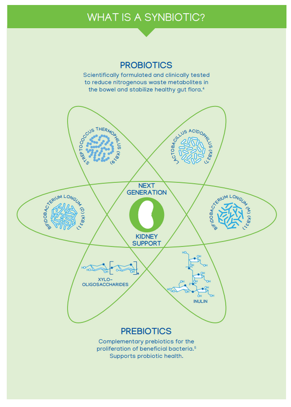 synbiotic supplements contain both pre and probiotics