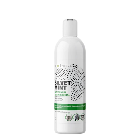 Nexderma Silver Antimicrobial Shampoo Mint For Dogs & Cats (16 oz) - All Dog & Cat Grooming 1
