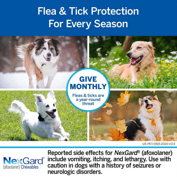 NexGard Chew for Dogs 10.1-24 lbs dogs