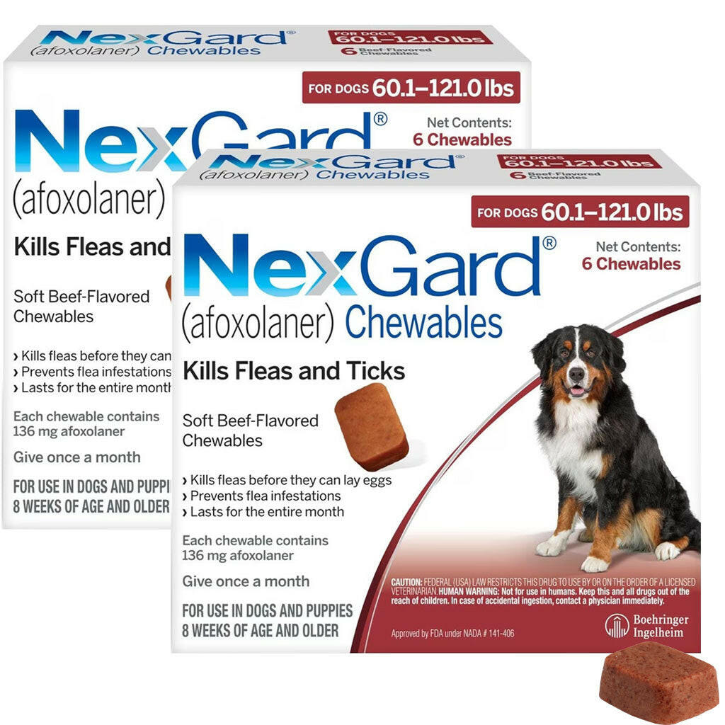 NexGard Flea & Tick Chewables for XL Dogs, 60.1-121 lbs