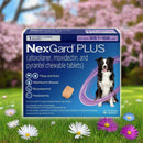 NexGard PLUS Chews for Dogs 33.1-66 lbs (Purple Box) - Pet Medication 13