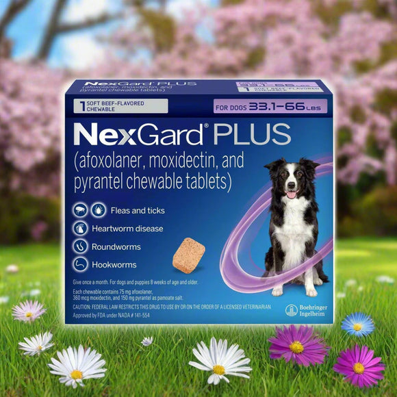 NexGard PLUS Chews for Dogs 33.1-66 lbs (Purple Box) - Pet Medication 13
