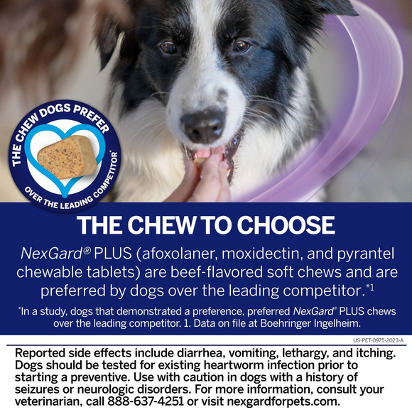 NexGard PLUS Chews for Small Dogs 4-8 lbs (Orange Box) - Pet Medication 3