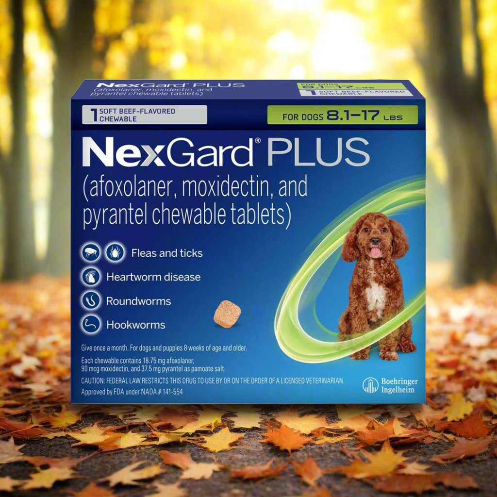 NexGard PLUS Parasite Guard Chews for Small Dogs, 8.1-17 lbs