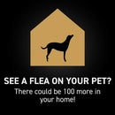 nextstar flea and tick