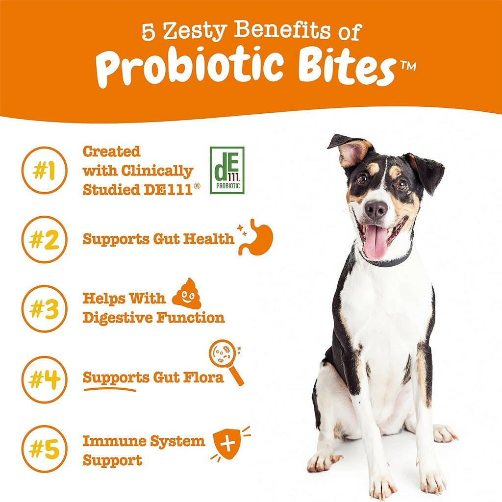 Zesty Paws Probiotic Bites Chicken Flavor Gut & Digestive Supplement for Dogs (90 ct)