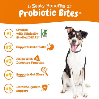 Zesty Paws Probiotic Bites Pumpkin Flavor Gut & Digestive Supplement for Dogs (90 ct)