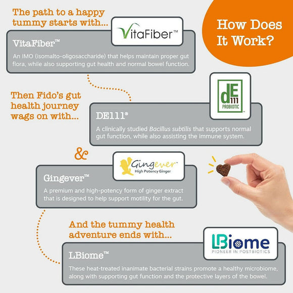 Zesty Paws Vet Digestive Gut & Probiotic Rotisserie Chicken Flavor Supplement For Dog (90 ct)