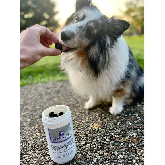 Kinetic Vet Complete Joint Support Soft Chews for Dogs (120 count)