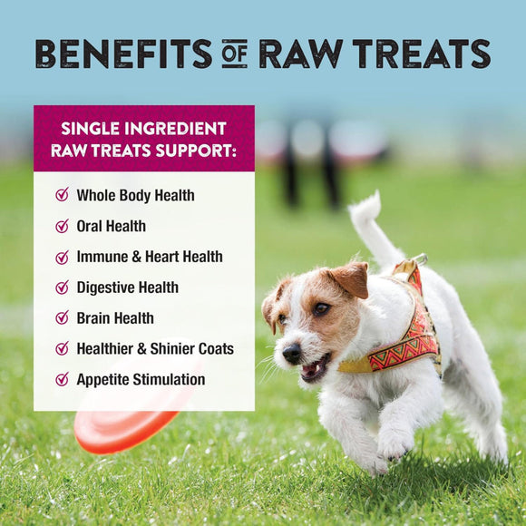 Northwest Naturals Freeze-Dried Beef Heart Treats for Dogs & Cats - Dog & Cat Treats 10
