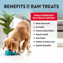 Northwest Naturals Freeze-Dried Beef Liver Treats for Dogs & Cats - Dog & Cat Treats 10
