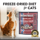 Northwest Naturals Freeze-Dried Beef & Trout Recipe Raw Diets for Cats (11 oz) - Cat Food 3