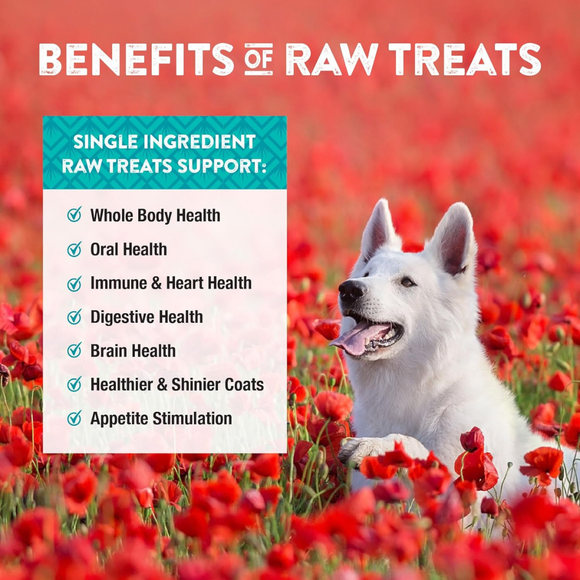 Northwest Naturals Freeze-Dried Chick Breast Treats for Dogs & Cats - Dog & Cat Treats 11