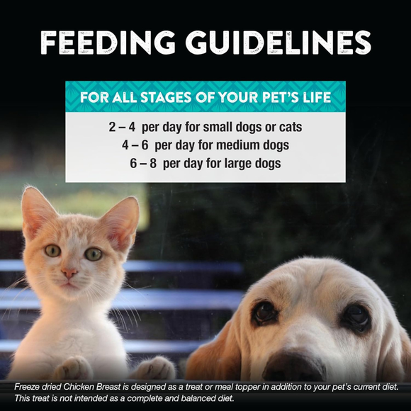 Northwest Naturals Freeze-Dried Chick Breast Treats for Dogs & Cats - Dog & Cat Treats 8