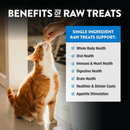 Northwest Naturals Freeze-Dried Chicken Hearts Treats for Dogs & Cats - 13