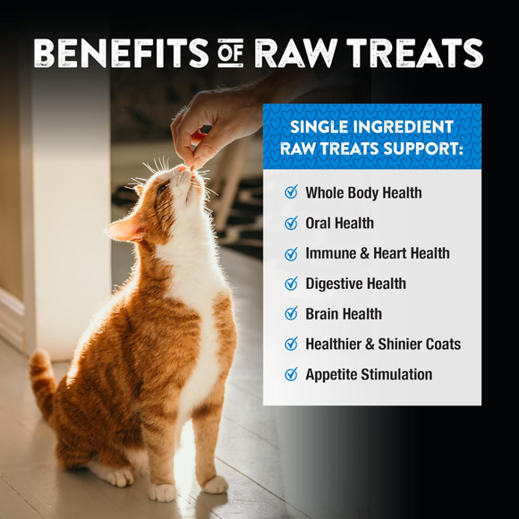Northwest Naturals Freeze-Dried Chicken Hearts Treats for Dogs & Cats - 13