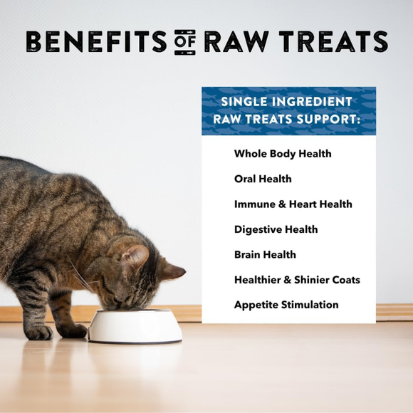 Northwest Naturals Freeze-Dried Herring Treats for Dogs & Cats (13 oz) - Dog & Cat Treats 4