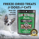 Northwest Naturals Freeze-Dried Lamb Liver Treats for Dogs & Cats (3 oz) - Dog Treats 2