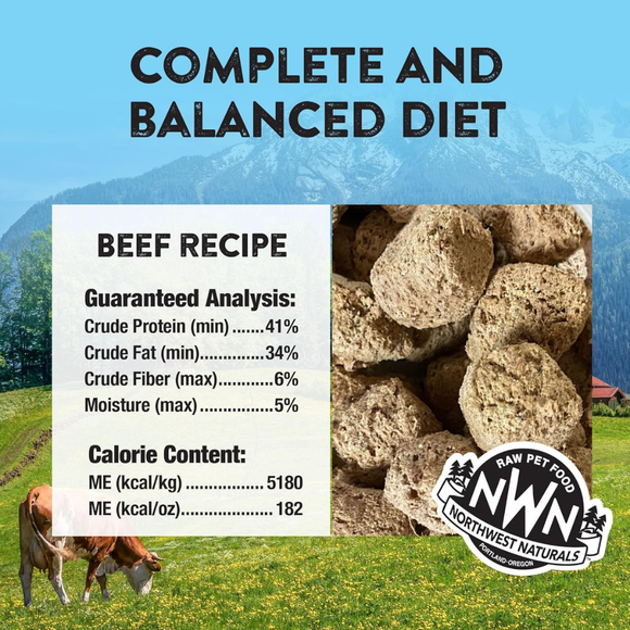 Northwest Naturals Freeze-Dried Nuggets Beef Recipe Raw Diets for Dogs - Dog Food 3
