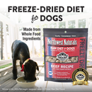 Northwest Naturals Freeze-Dried Nuggets Beef Recipe Raw Diets for Dogs - Dog Food 2