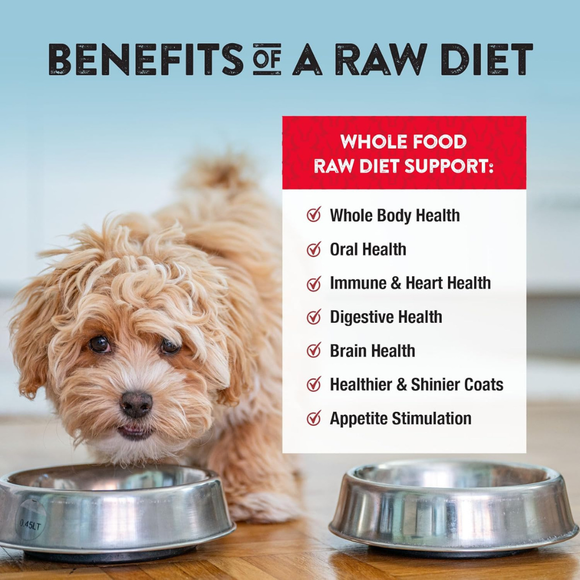 Northwest Naturals Freeze-Dried Nuggets Beef Recipe Raw Diets for Dogs - Dog Food 5