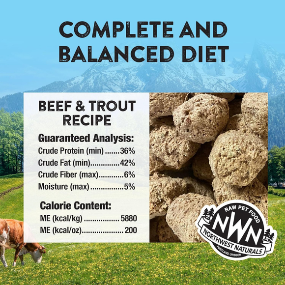 Northwest Naturals Freeze-Dried Nuggets Beef & Trout Recipe Raw Diets for Dogs - Dog Food 2