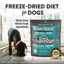 Northwest Naturals Freeze-Dried Nuggets Chicken Recipe Raw Diets for Dogs - 2