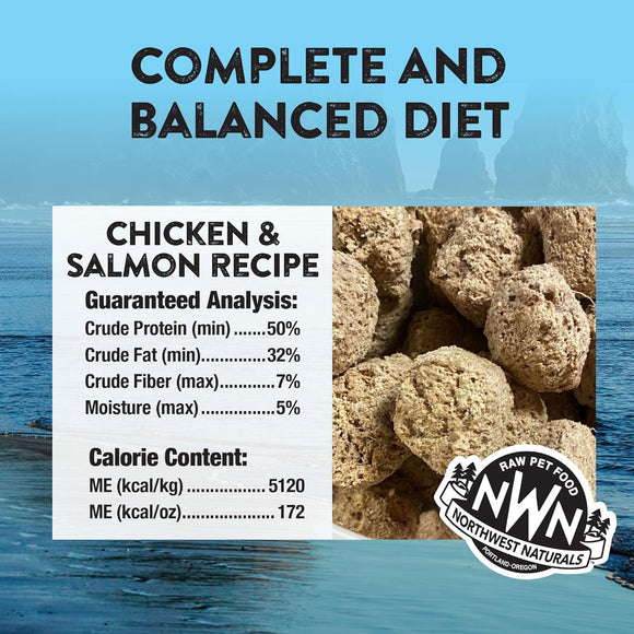 Northwest Naturals Freeze-Dried Nuggets Chicken & Salmon Recipe Raw Diets for Dogs - Dog Food 3