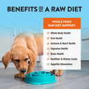 Northwest Naturals Freeze-Dried Nuggets Chicken & Salmon Recipe Raw Diets for Dogs - Dog Food 5