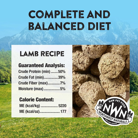 Northwest Naturals Freeze-Dried Nuggets Lamb Recipe Raw Diets for Dogs - Dog Food 4