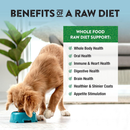 Northwest Naturals Freeze-Dried Nuggets Lamb Recipe Raw Diets for Dogs - Dog Food 6