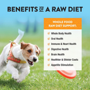 Northwest Naturals Freeze-Dried Nuggets Turkey Recipe Raw Diets for Dogs - Dog Food 5
