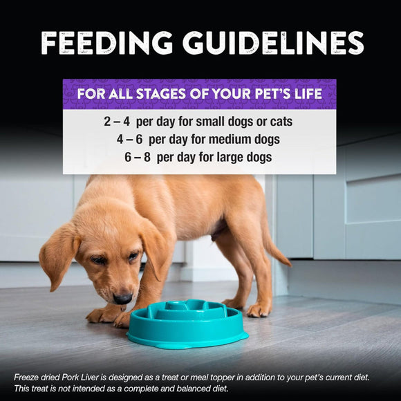 Northwest Naturals Freeze-Dried Pork Liver Treats for Dogs & Cats - Dog & Cat Treats 4