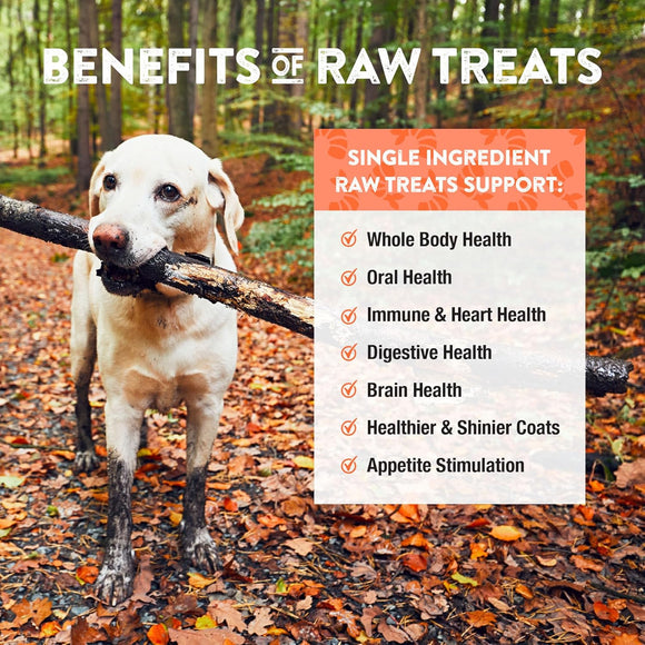 Northwest Naturals Freeze-Dried Shrimp Treats for Dogs & Cats (1 oz) - Dogs & Cats Treats 5
