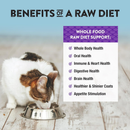 Northwest Naturals Freeze-Dried Whitefish Recipe Raw Diets for Cats (11 oz) - Cat Food 5