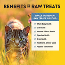 Northwest Naturals Freeze-Dried Whitefish Treats for Dogs & Cats (2.5 oz) - dog treat 12