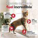 Cat standing on a carpet with text highlighting product features, including omega-3 fatty acids, small disc shape, lean body condition, and digestive support.