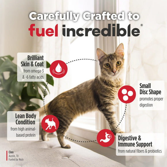 Cat standing on a carpet with text highlighting product features, including omega-3 fatty acids, small disc shape, lean body condition, and digestive support.
