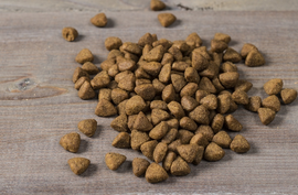 Nulo Freestyle Limited+ Puppy/Adult Grain Free Salmon