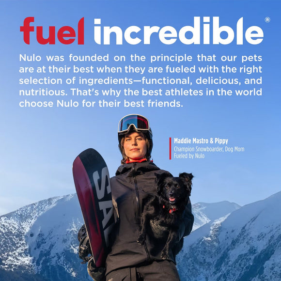 Person holding a snowboard and a dog with mountains in the background, featuring Nulo pet food advertisement.